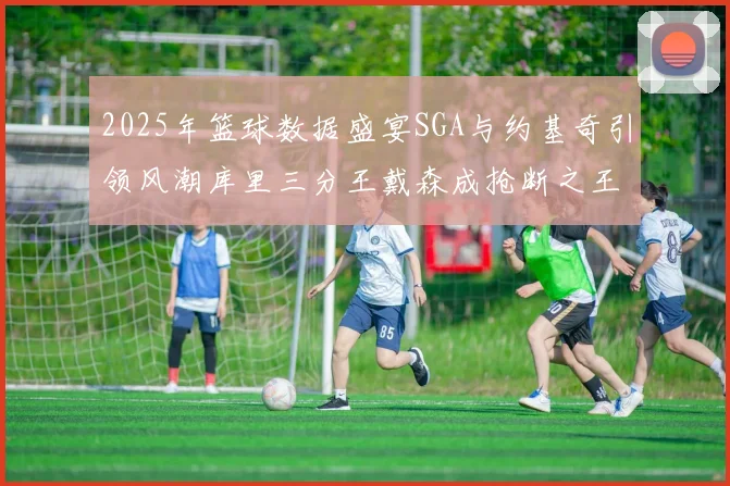 2025年篮球数据盛宴SGA与约基奇引领风潮库里三分王戴森成抢断之王